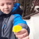 donate